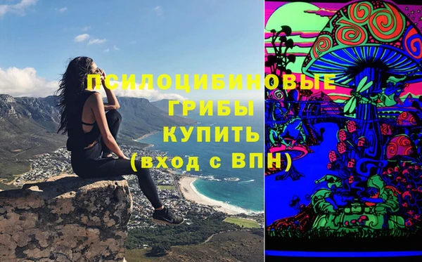 соль ск Алексеевка