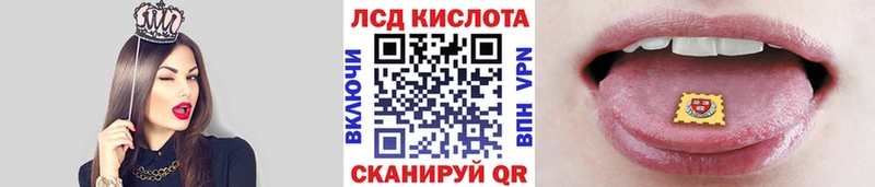 Марки N-bome 1,8мг Кедровый